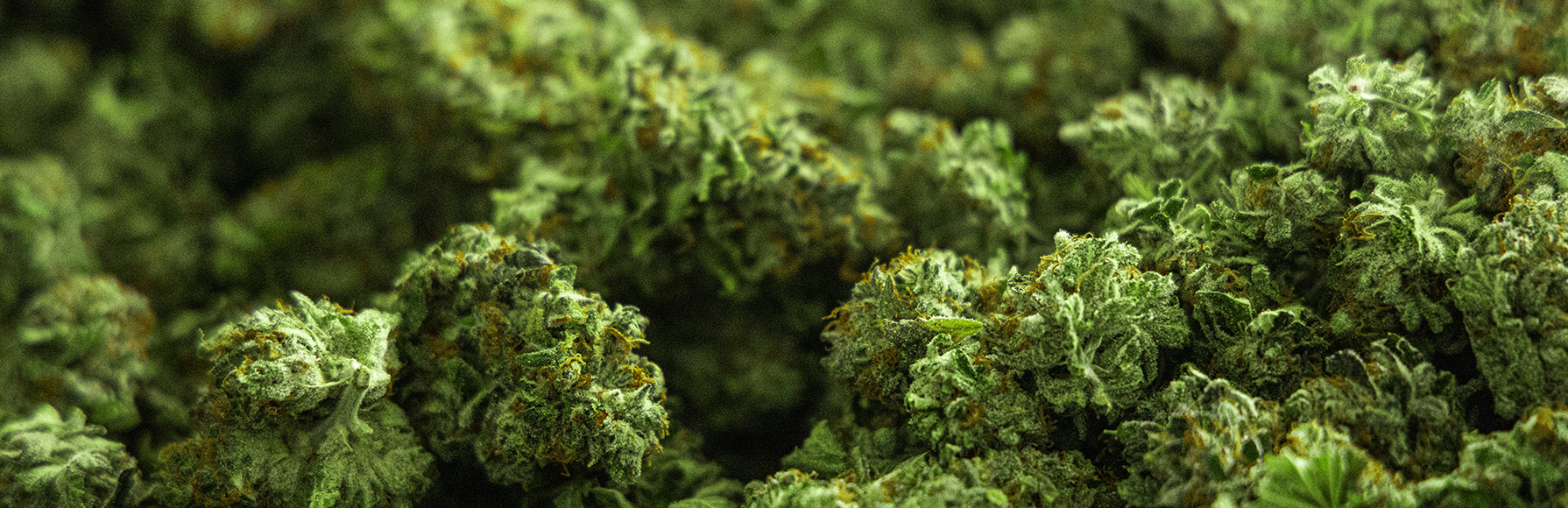 cannabis-strip